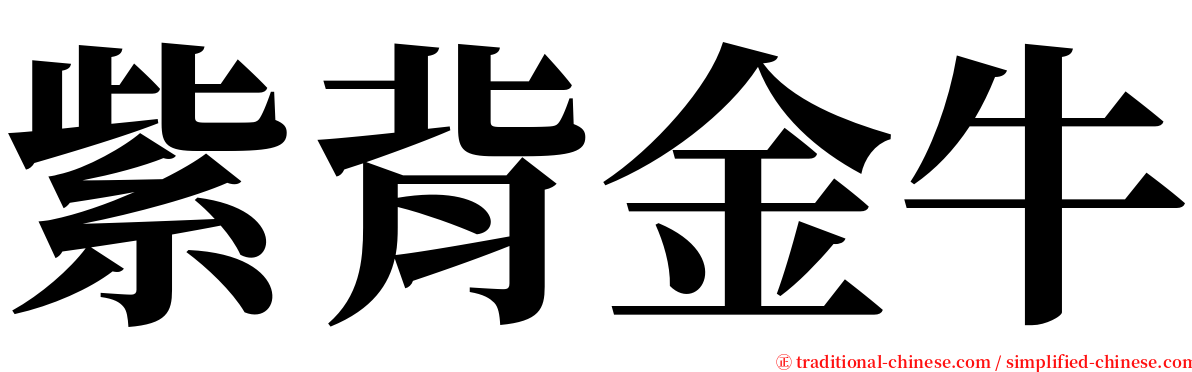 紫背金牛 serif font