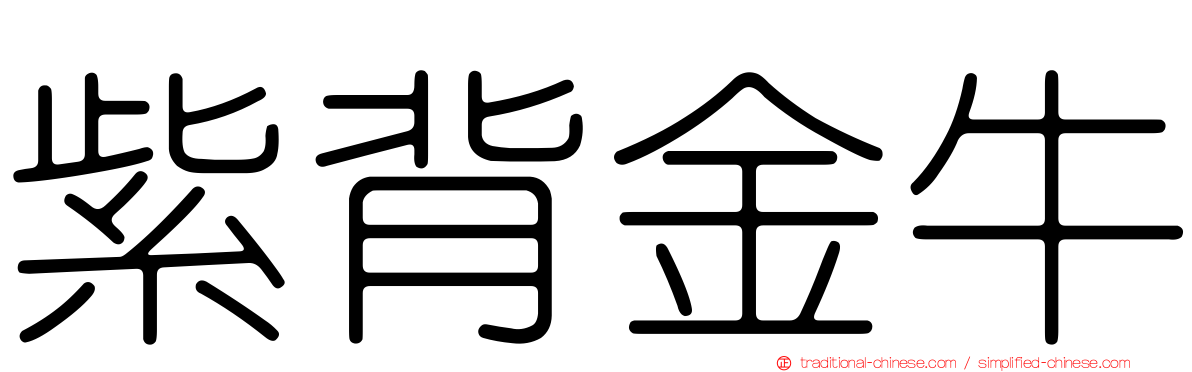 紫背金牛