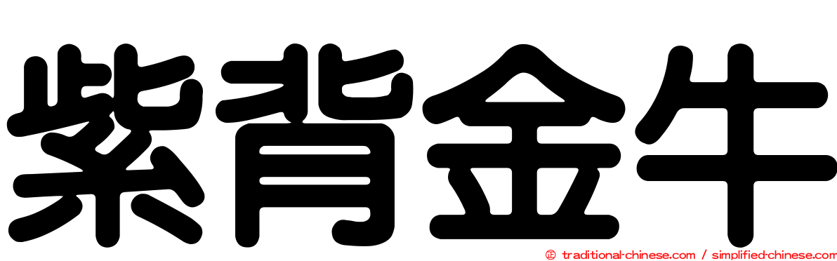 紫背金牛