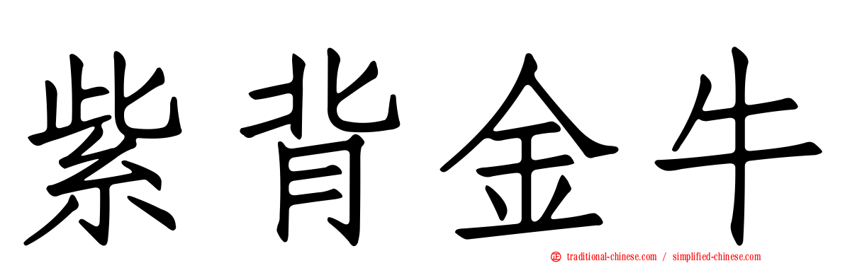 紫背金牛