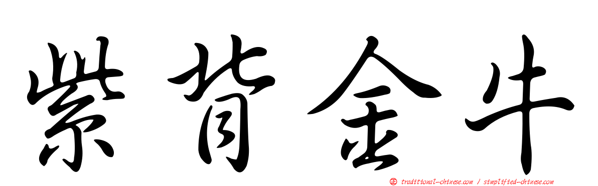紫背金牛