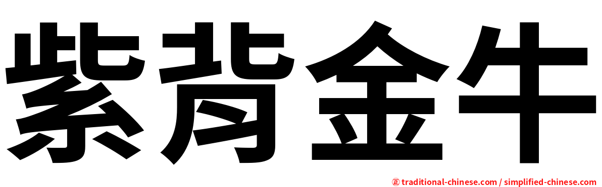 紫背金牛