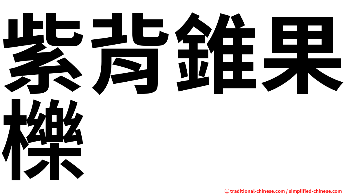 紫背錐果櫟