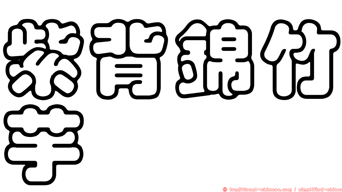 紫背錦竹芋