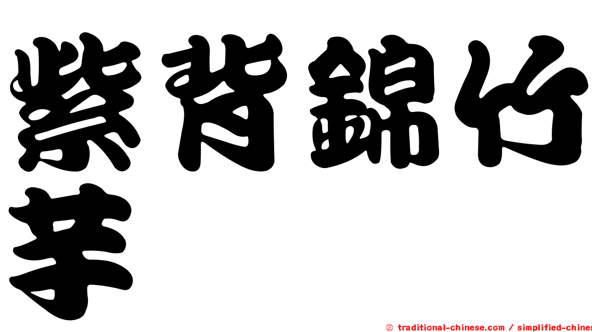 紫背錦竹芋