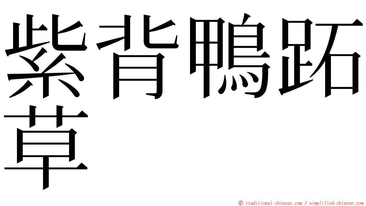 紫背鴨跖草 ming font