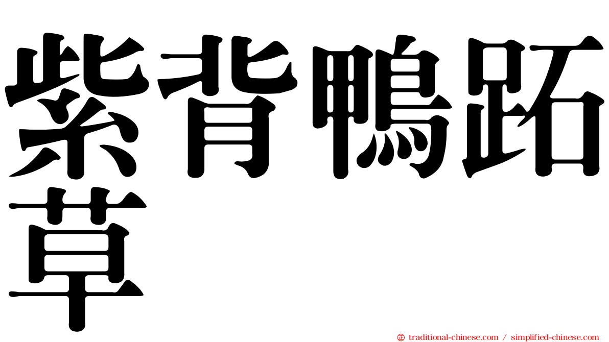 紫背鴨跖草