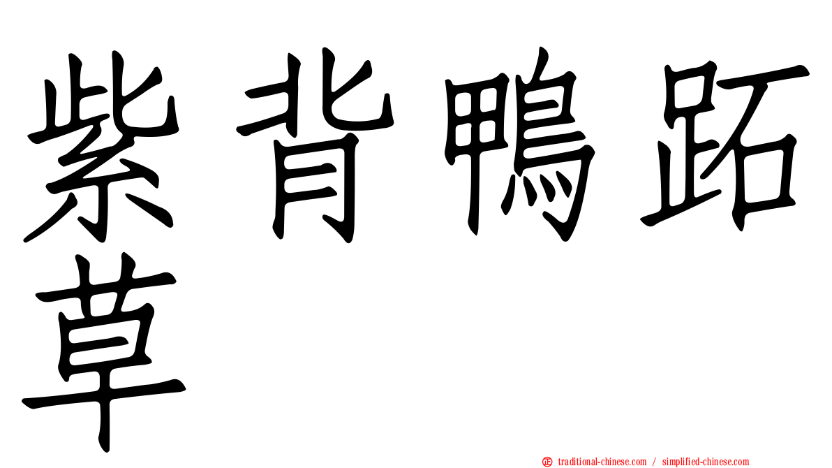 紫背鴨跖草
