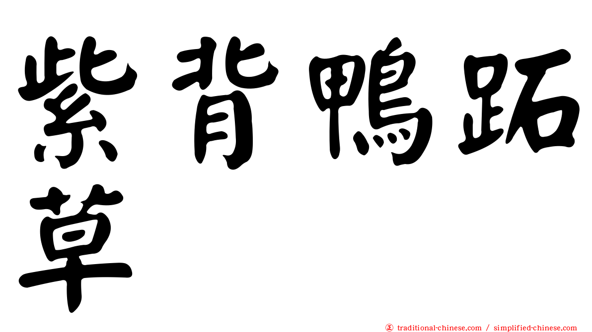 紫背鴨跖草
