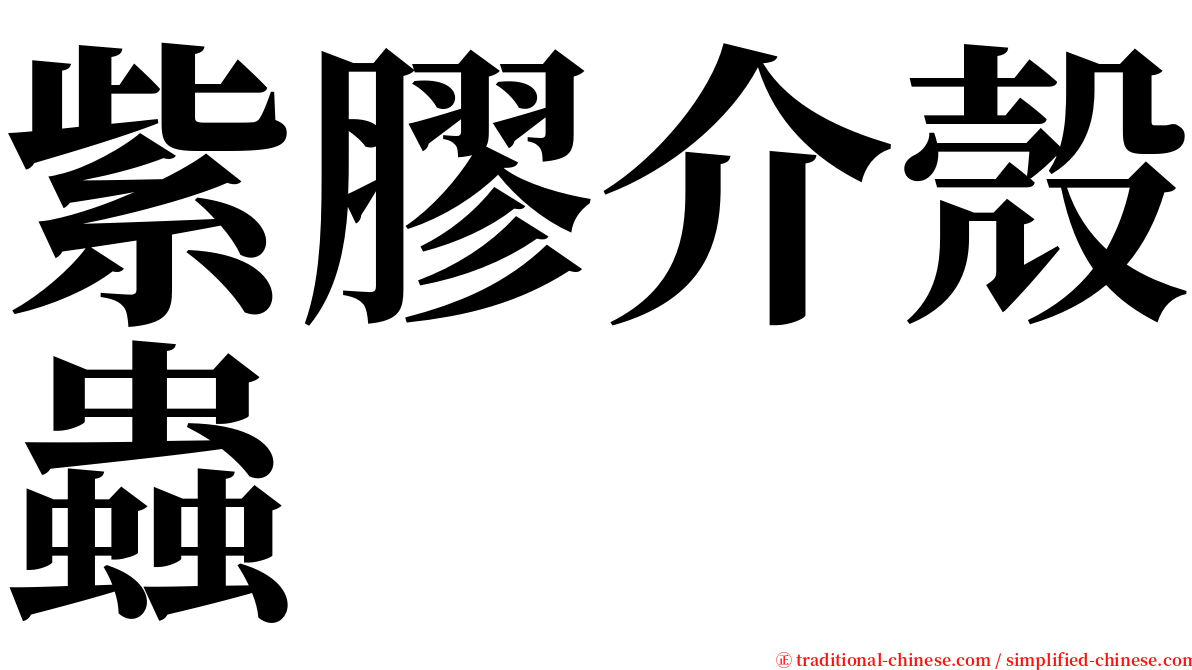 紫膠介殼蟲 serif font