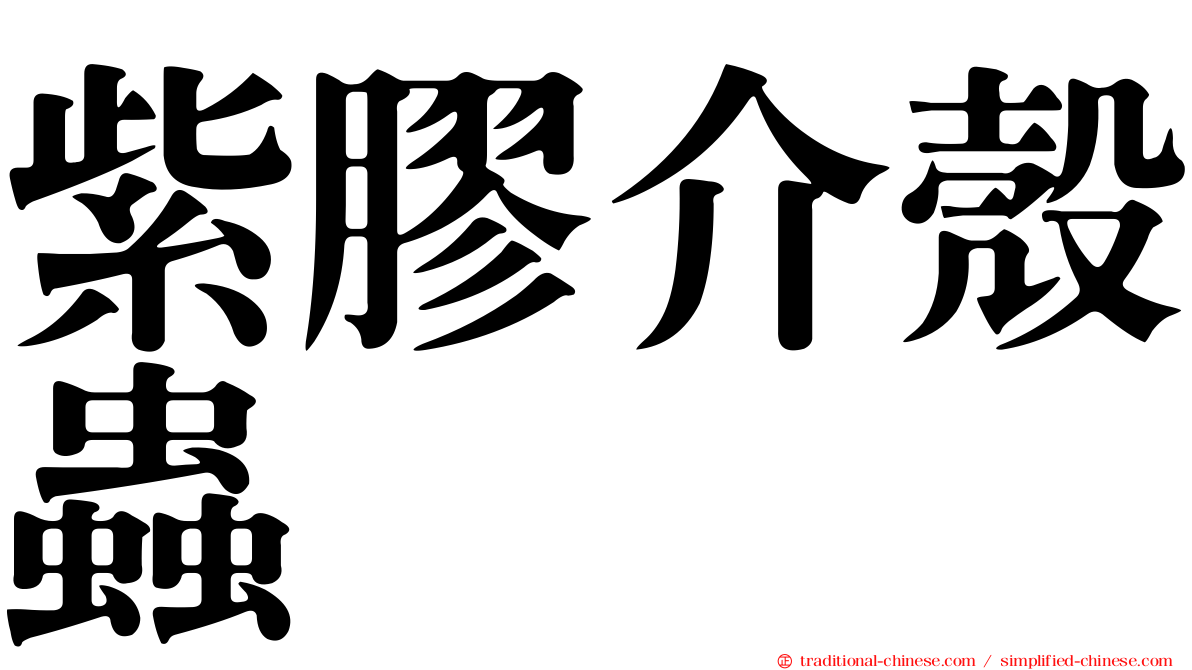紫膠介殼蟲