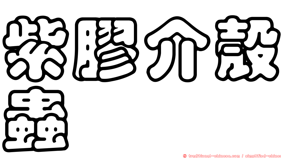紫膠介殼蟲