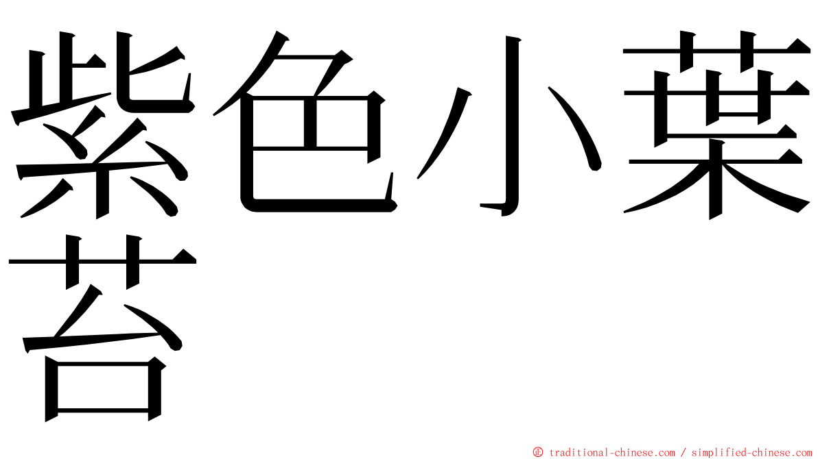 紫色小葉苔 ming font