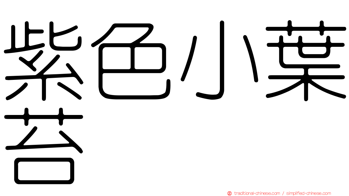 紫色小葉苔