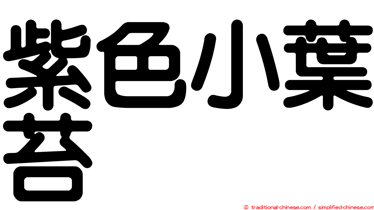 紫色小葉苔