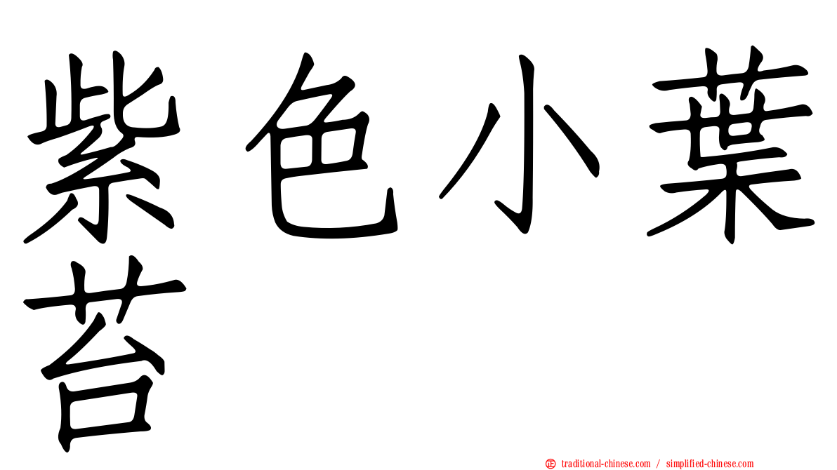 紫色小葉苔