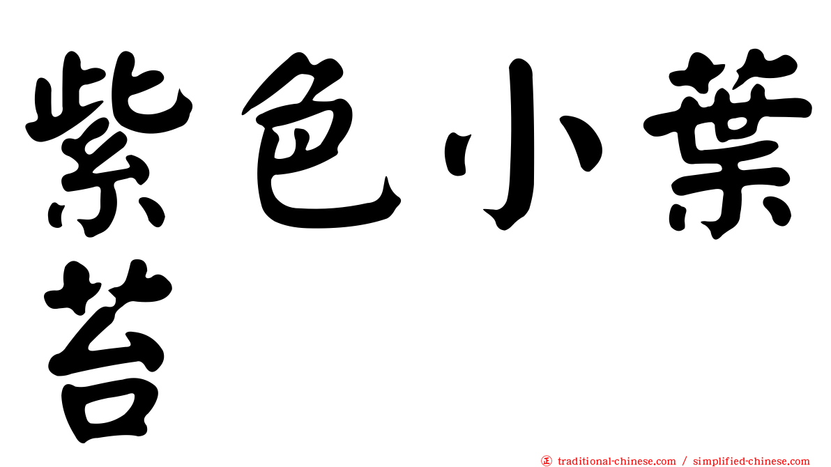 紫色小葉苔