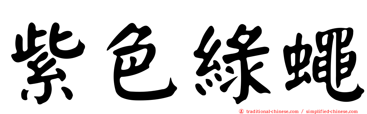 紫色綠蠅