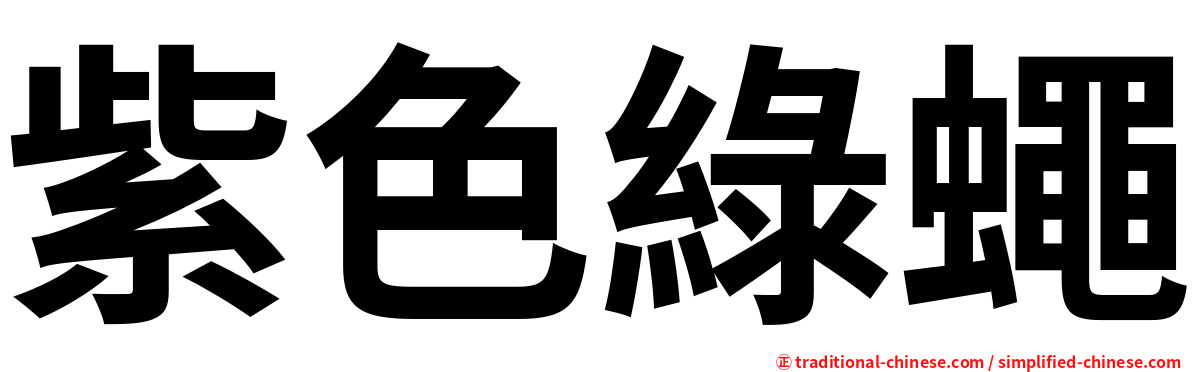 紫色綠蠅