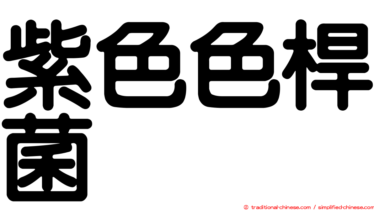 紫色色桿菌