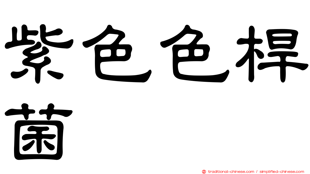 紫色色桿菌