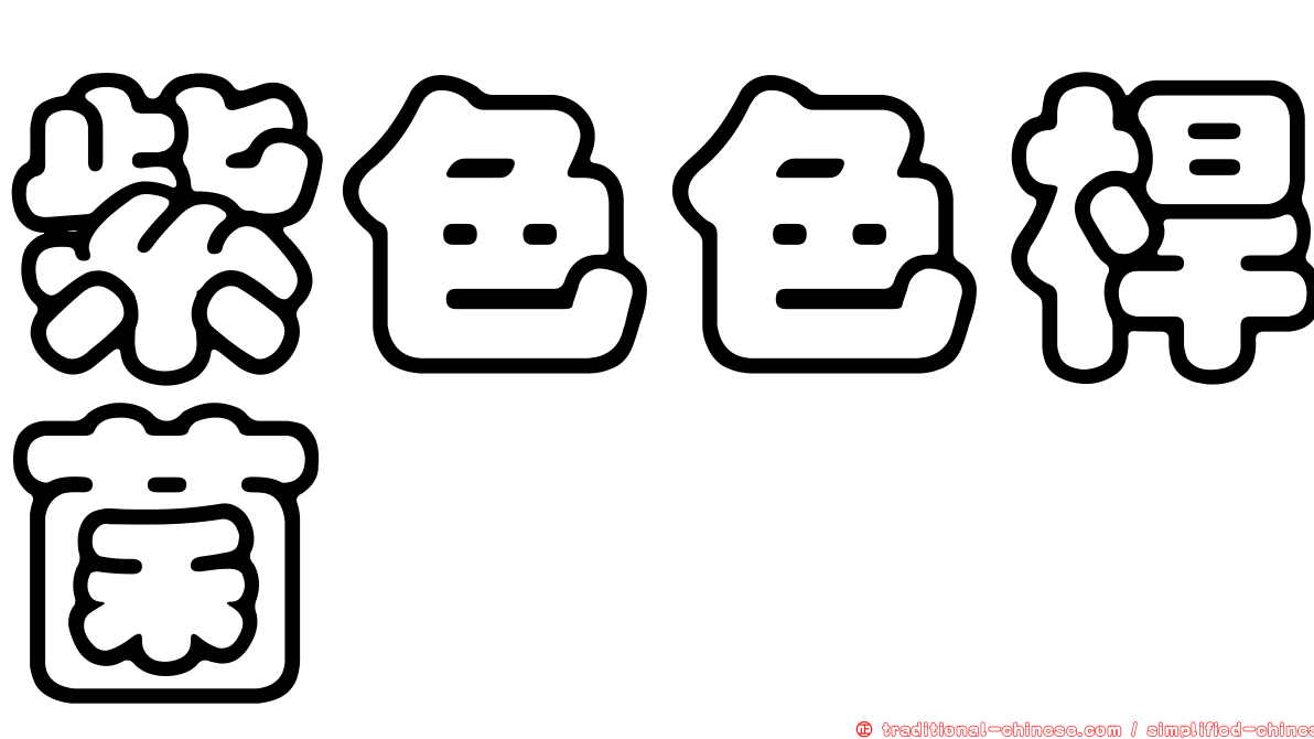 紫色色桿菌