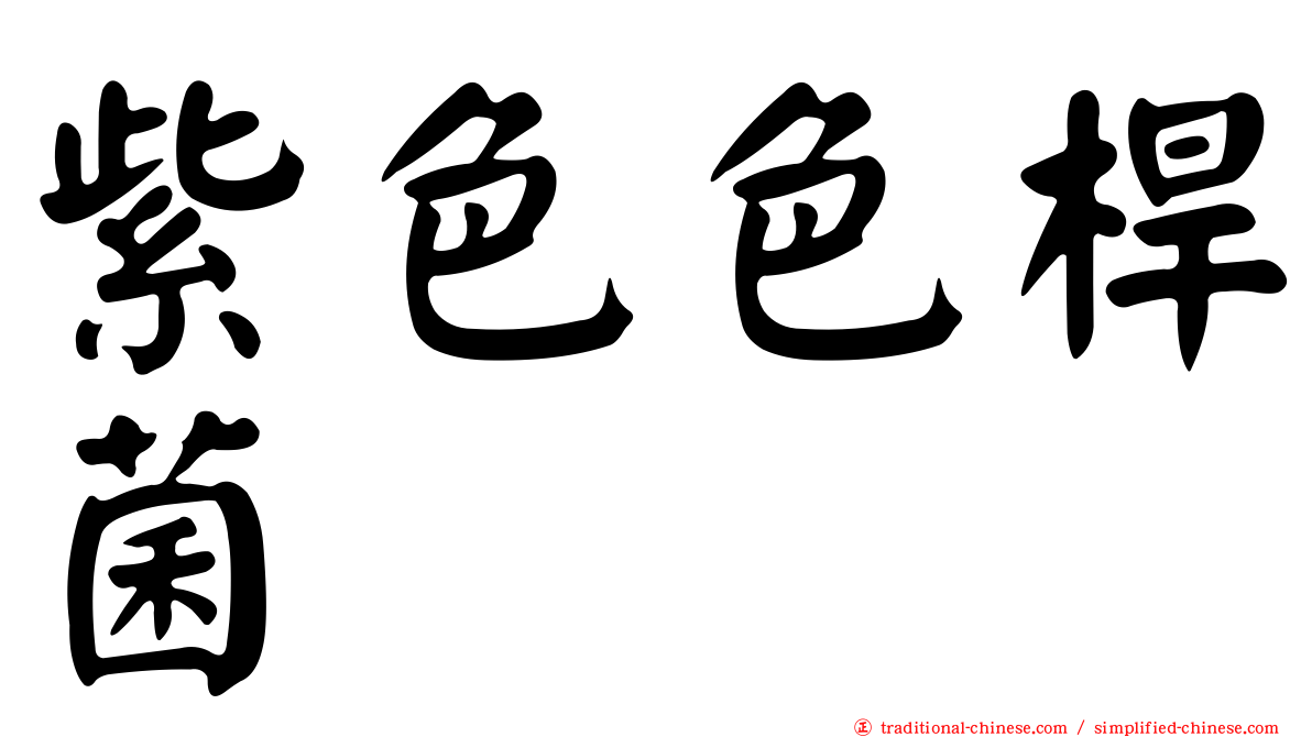 紫色色桿菌