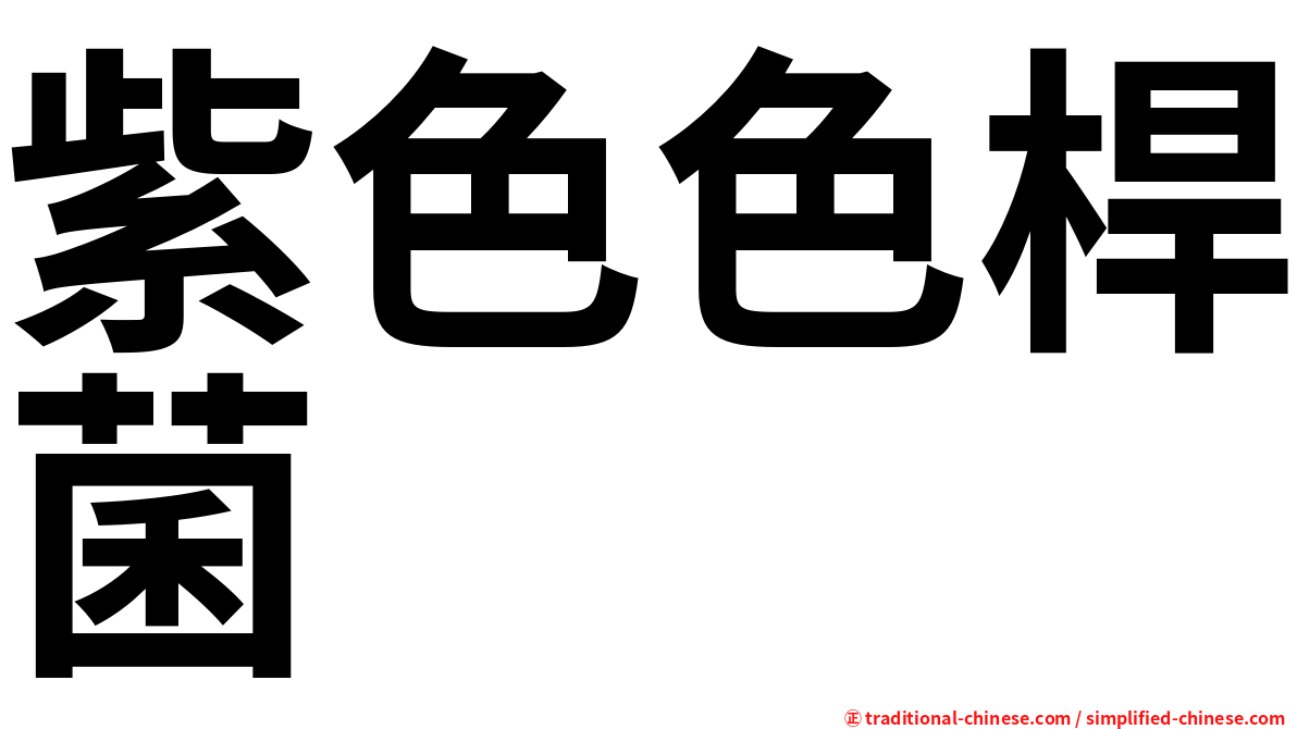 紫色色桿菌