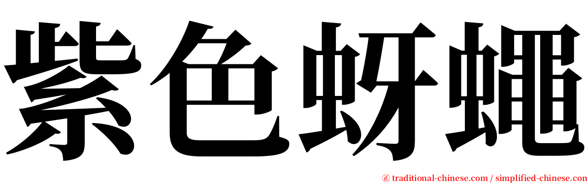 紫色蚜蠅 serif font