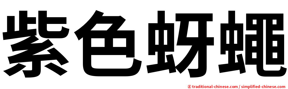 紫色蚜蠅