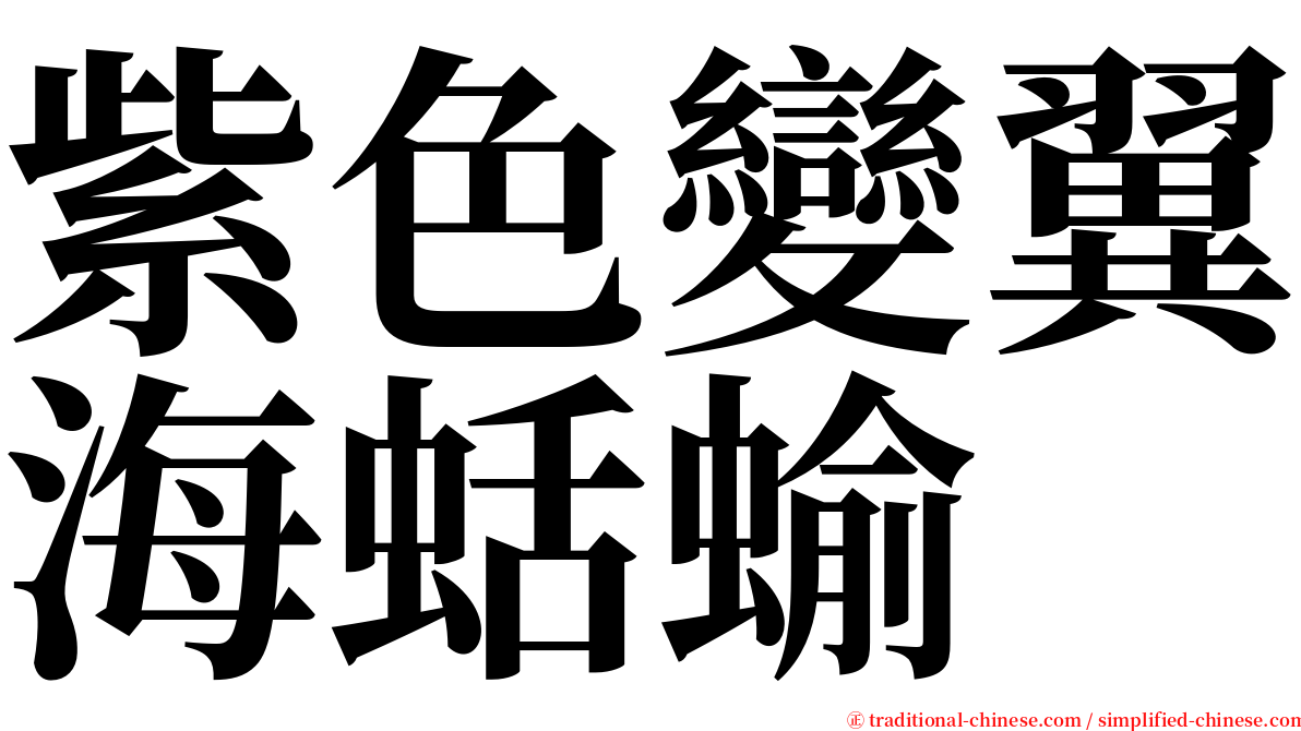 紫色變翼海蛞蝓 serif font