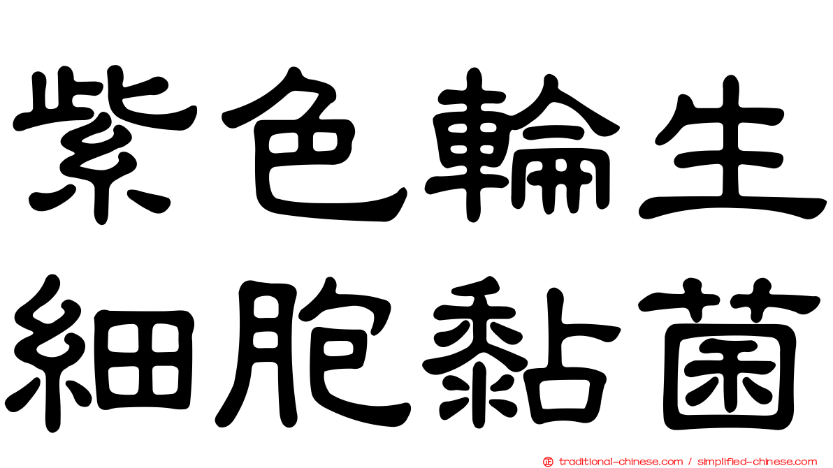 紫色輪生細胞黏菌