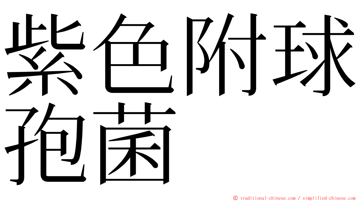 紫色附球孢菌 ming font