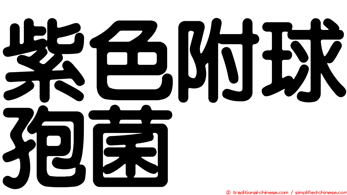 紫色附球孢菌