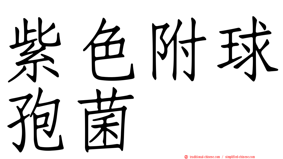紫色附球孢菌