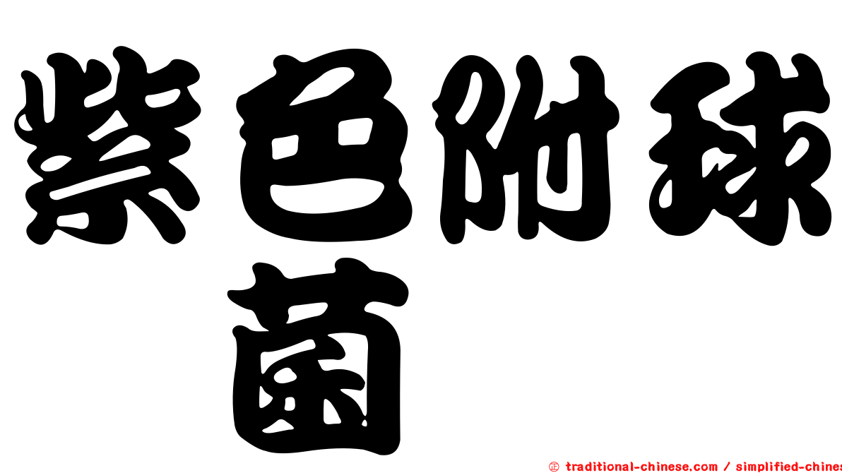 紫色附球孢菌