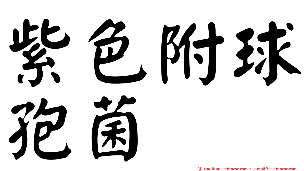 紫色附球孢菌