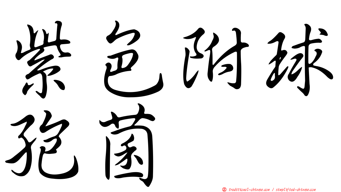 紫色附球孢菌