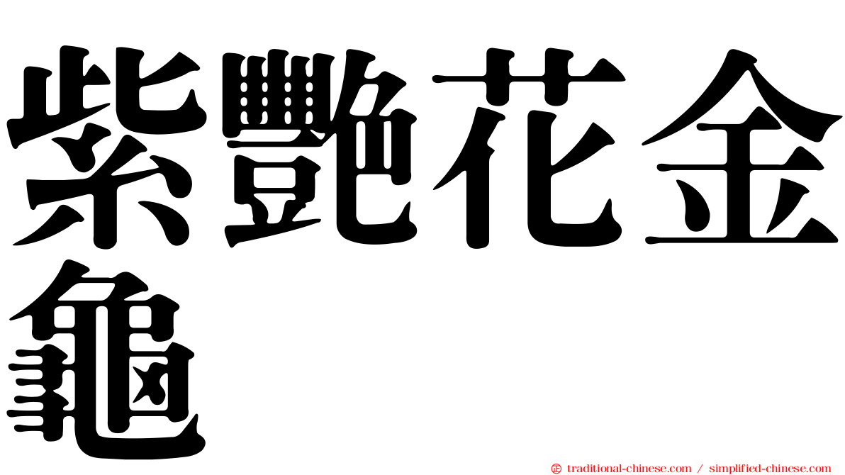 紫艷花金龜