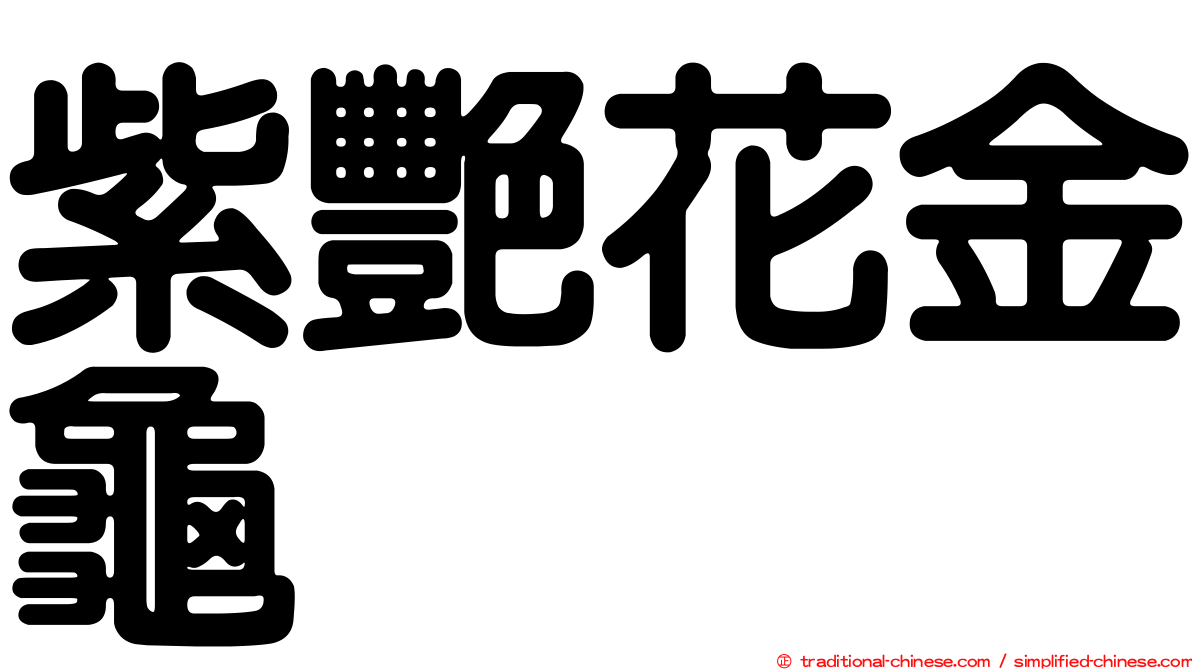 紫艷花金龜