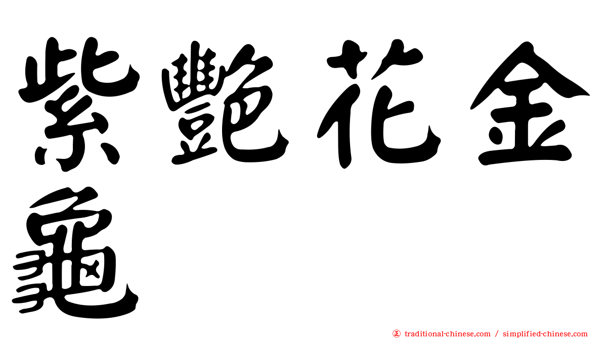 紫艷花金龜