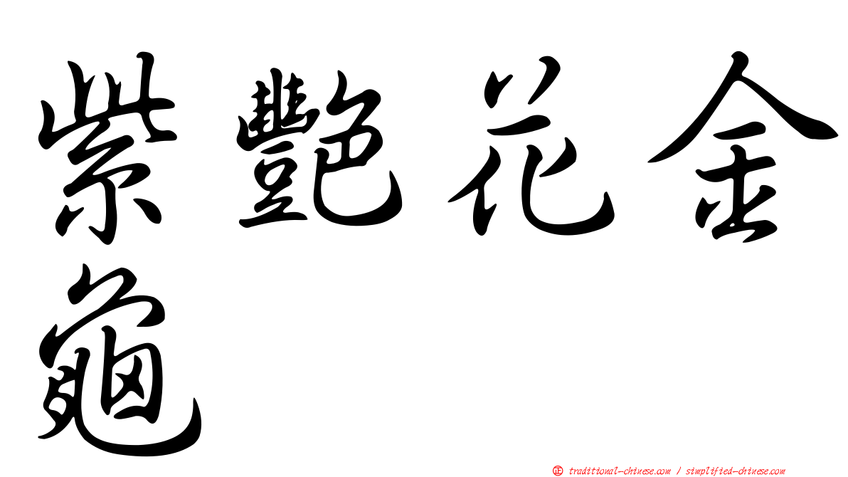 紫艷花金龜