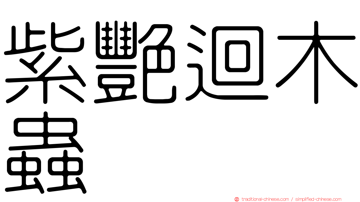 紫艷迴木蟲