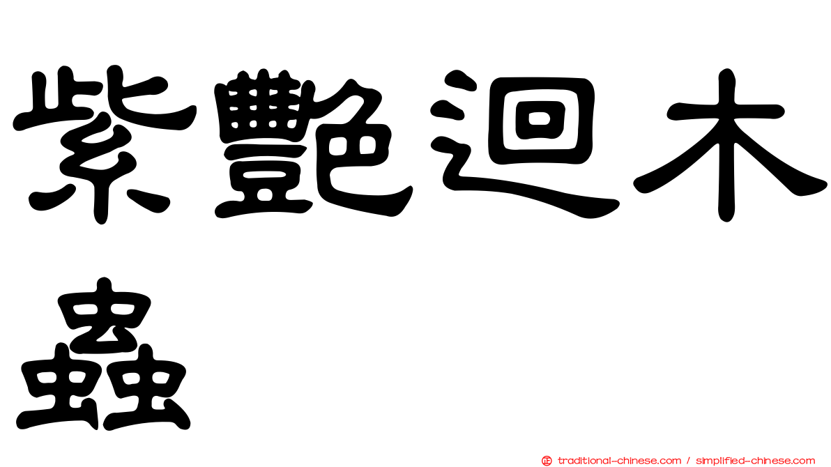 紫艷迴木蟲