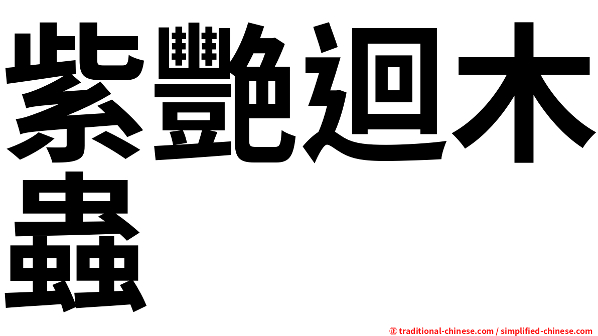 紫艷迴木蟲