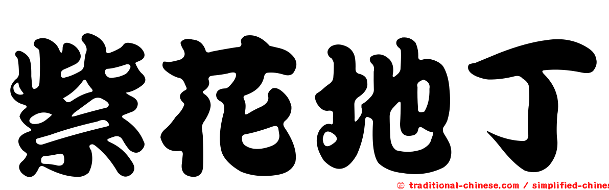 紫花地丁