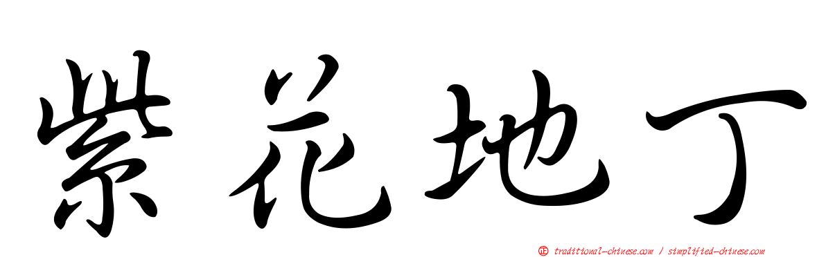 紫花地丁