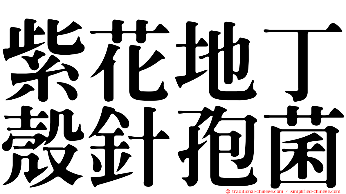 紫花地丁殼針孢菌