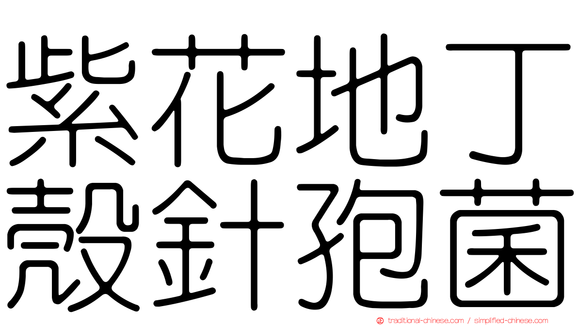 紫花地丁殼針孢菌