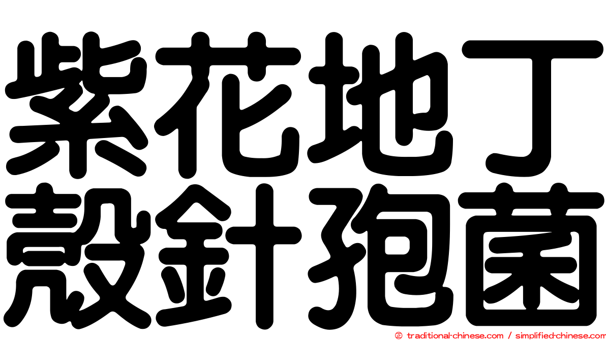 紫花地丁殼針孢菌